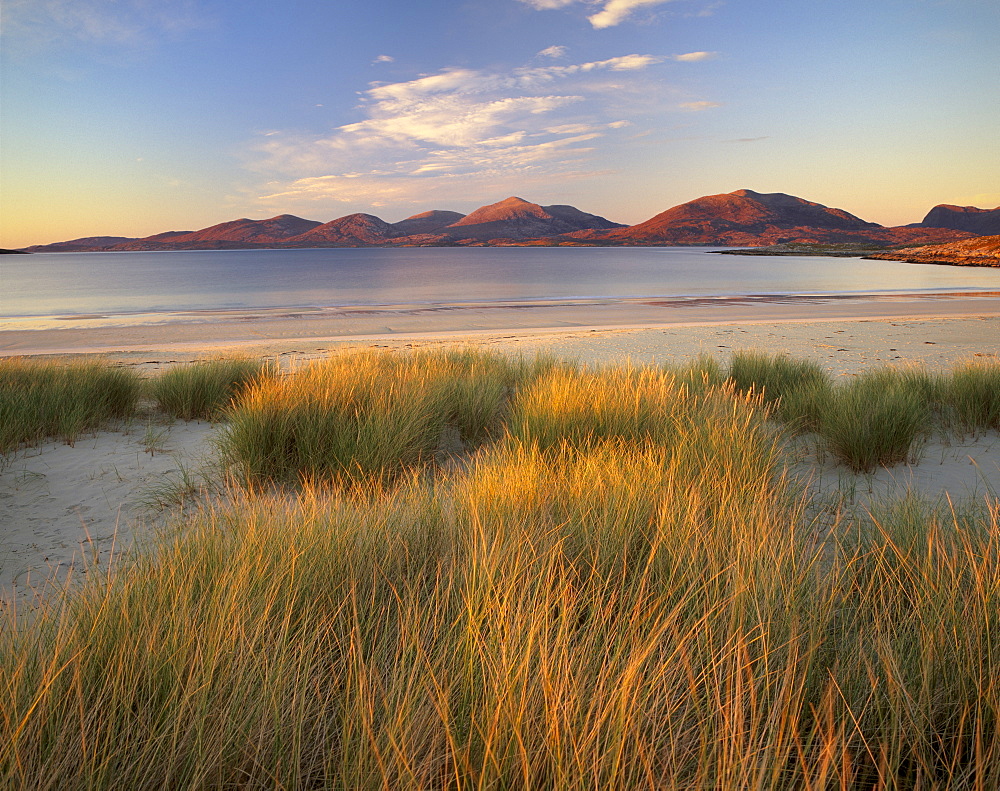 Marram grass and beach near Luskentyre, looking towards North Harris Forest Hills, South Harris, Outer Hebrides, Scotland, United Kingdom, Europe