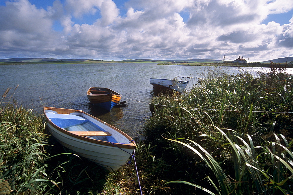 Houton, Mainland, Orkney Islands, Scotland, United Kingdom, Europe