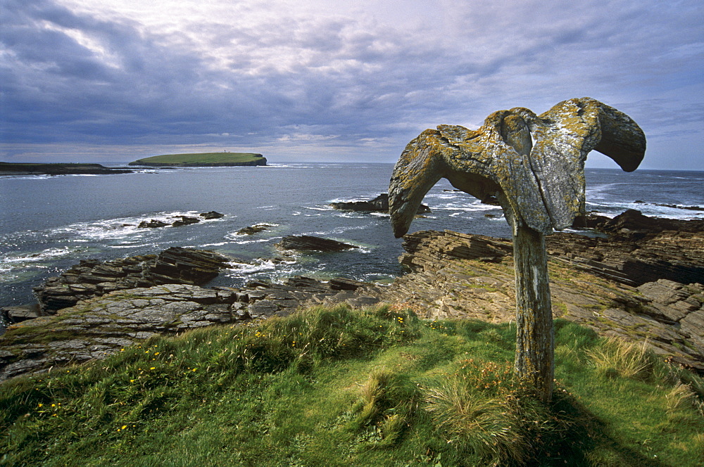 Whalebone at Skippigeo, Mainland, Orkney Islands, Scotland, United Kingdom, Europe