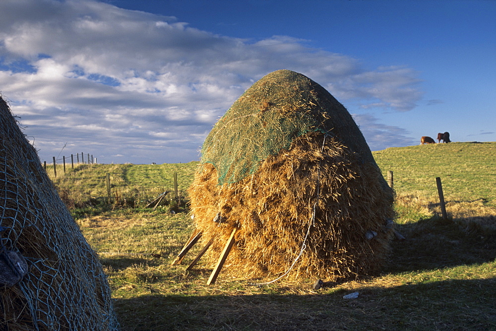 Traditional crofting land, at Howmore, (Tobha Mor), South Uist, Outer Hebrides, Scotland, United Kingdom, Europe