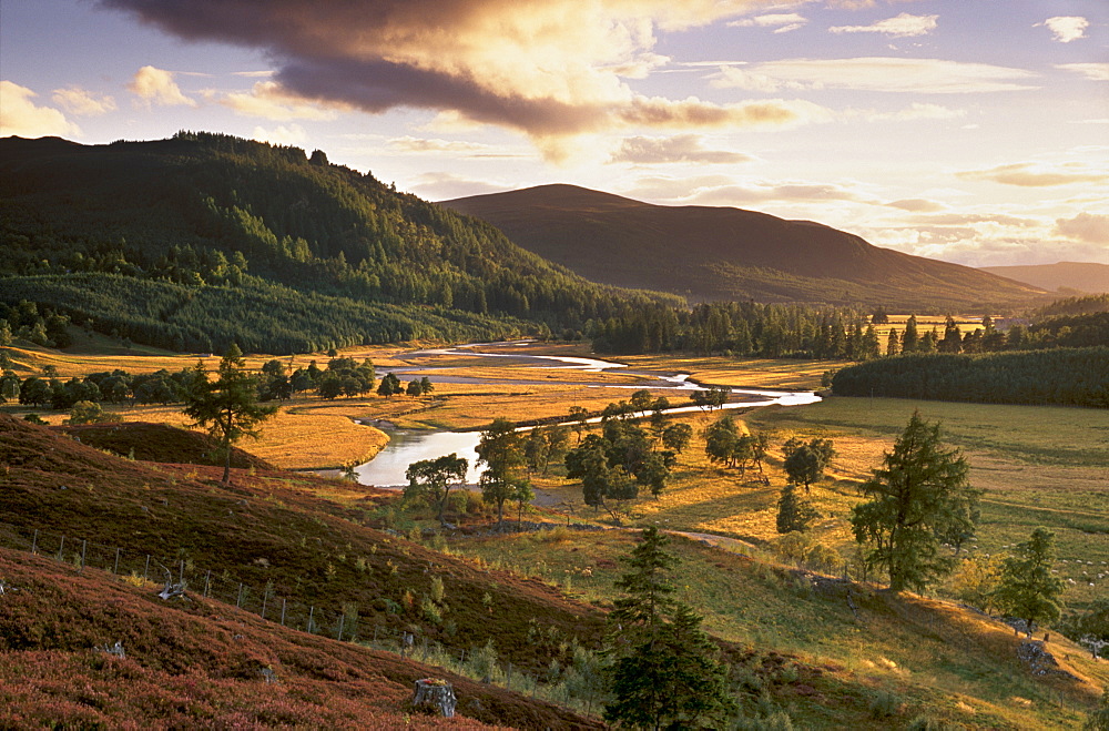 Upper Dee valley near Inverey, Deeside, Aberdeenshire, Scotland, United Kingdom, Europe