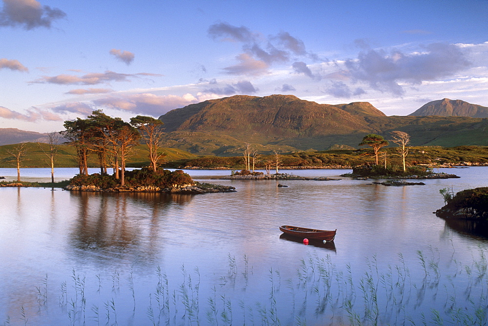 Loch Assynt, boat and Scots pines, North West Highlands, Highland region, Scotland, United Kingdom, Europe