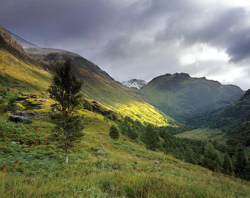 Slopes of Ben Nevis and Glen Nevis, near Fort William, Highland region, Scotland, United Kingdom, Europe