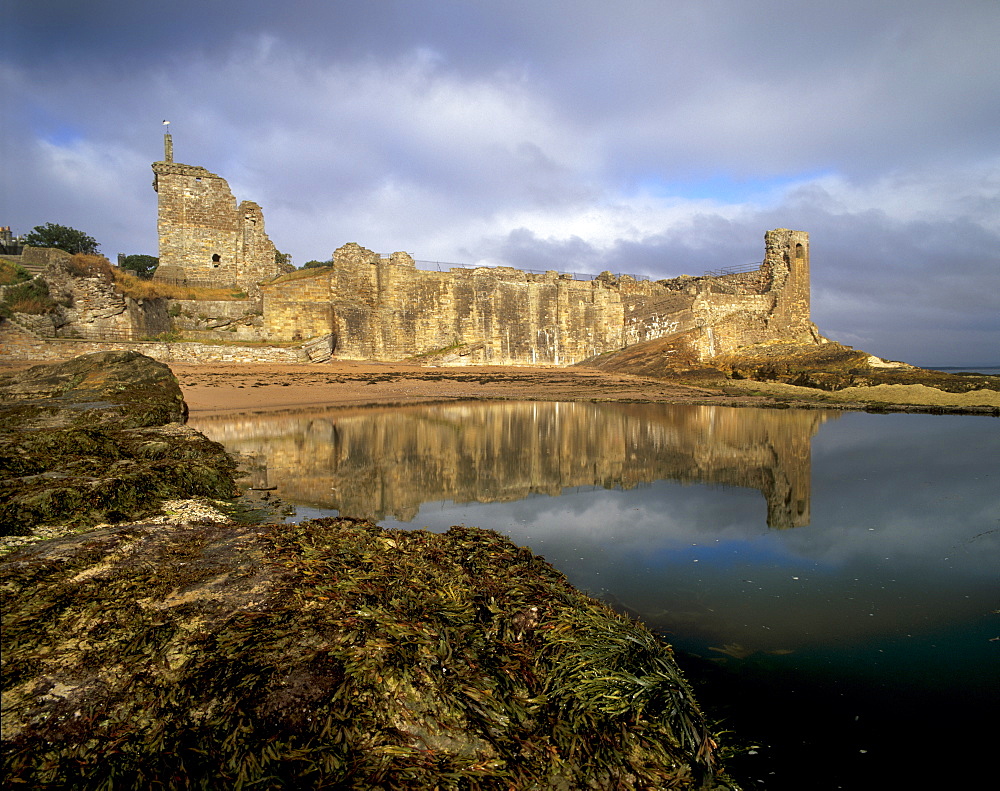 St. Andrews castle dating from between the 14th and 17th centuries, Palace of the Bishops of St. Andrews, St. Andrews, Fife, Scotland, United Kingdom, Europe