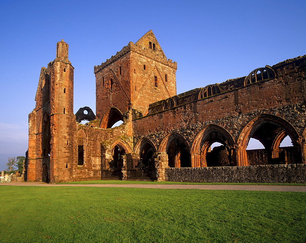 Sweetheart Abbey, Cistercian abbey dating from the 13th and 14th centuries, New Abbey, Dumfries and Galloway, Scotland, United Kingdom, Europe