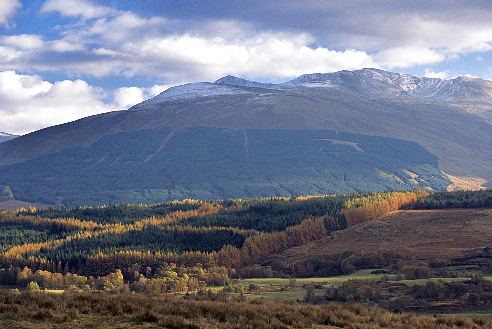 Leanachan Forest and Ben Nevis massif from the north, near Fort William, Highland region, Scotland, United Kingdom, Europe