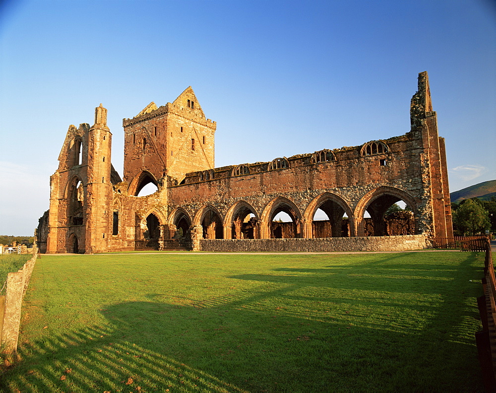 Sweetheart Abbey dating from 13th and 14th centuries, Dumfries and Galloway, Scotland, United Kingdom, Europe