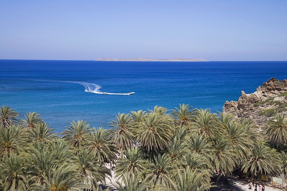 Vai, Crete, Greek Islands, Greece, Europe