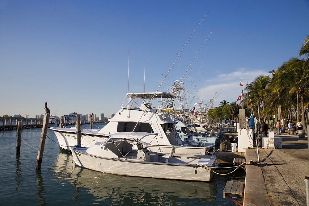 Miami Beach, Florida, United States of America, North America