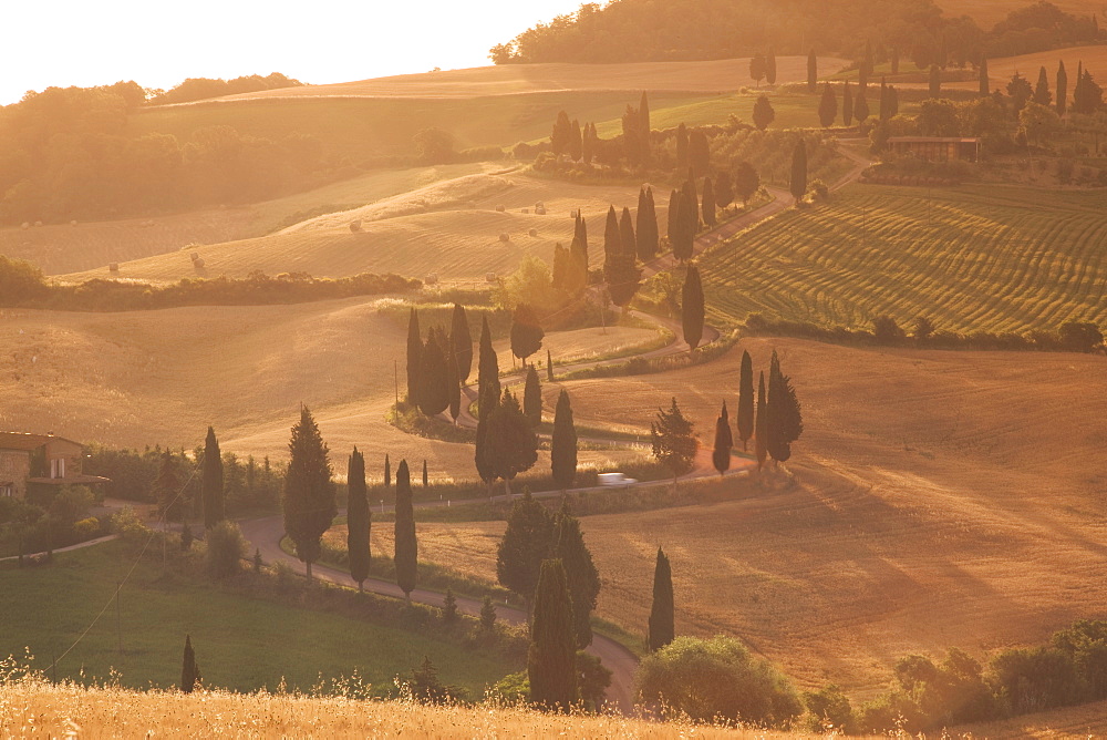 Country road near Montichiello, Val d'Orcia, Tuscany, Italy, Europe