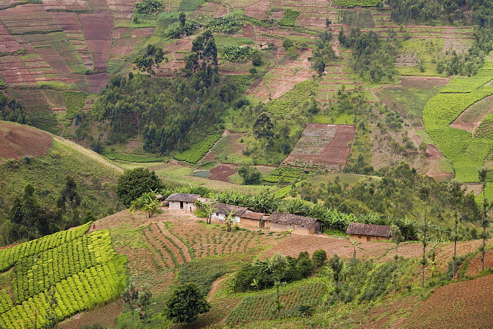 Village of Masango, Cibitoke Province, Burundi, Africa