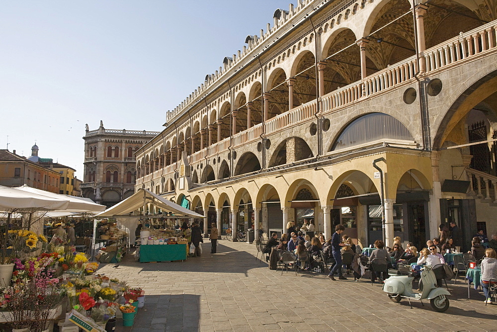 Padova, Veneto, Italy, Europe