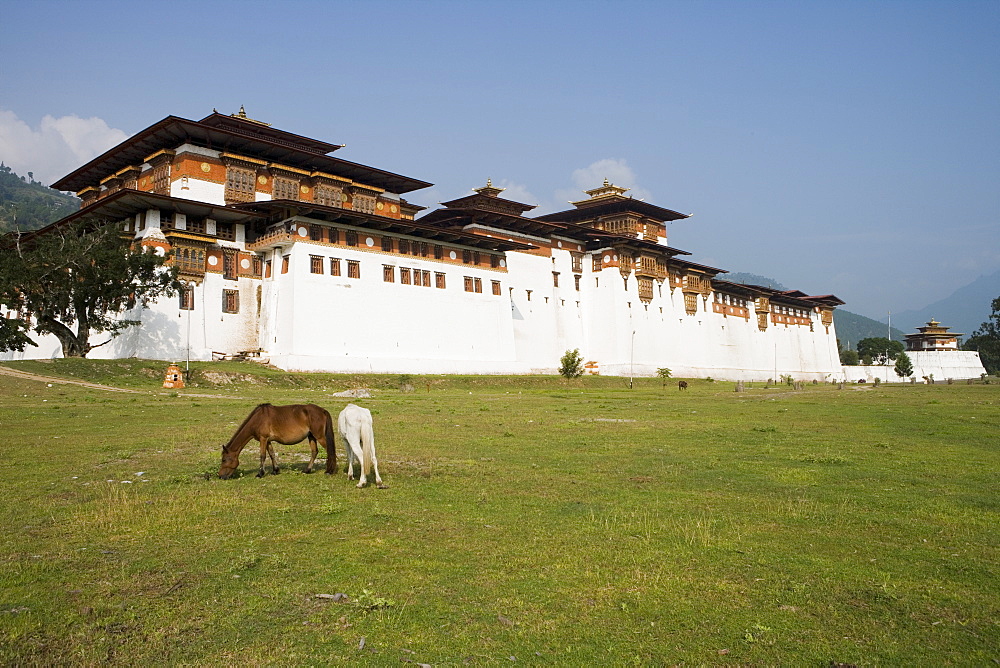 Punakha Dzong, Punakha, Bhutan, Asia