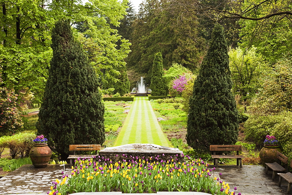 The gardens of Villa Taranto, Verbania, Lake Maggiore, Piedmont, Italy, Europe