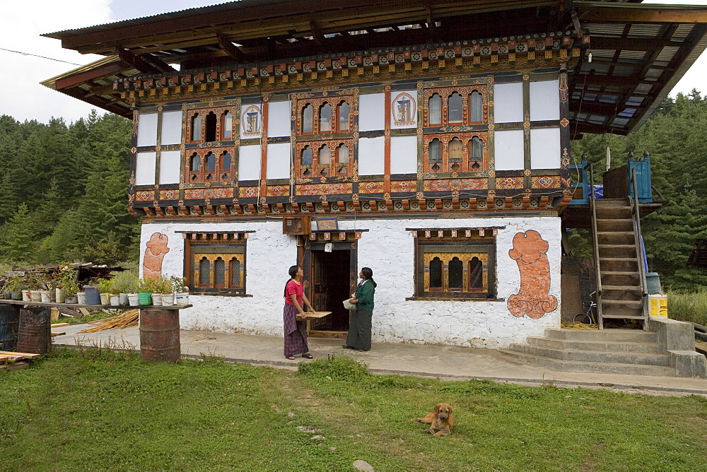 Phallus symbols on house to ward off evil spirits, Bumthang Valley, Bhutan, Asia