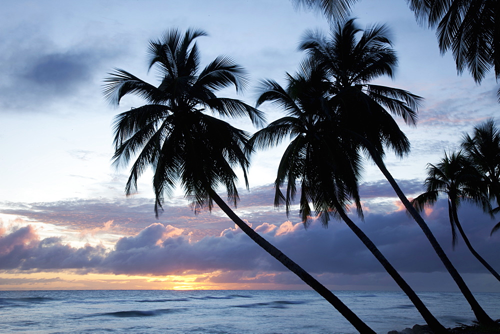 Tropical sunset, Bridgetown, Barbados, West Indies, Caribbean, Central America