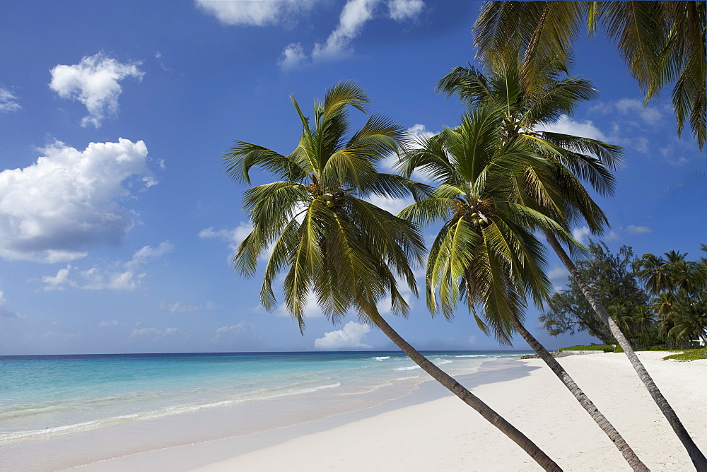 White sand beach, Bridgetown, Barbados, West Indies, Caribbean, Central America