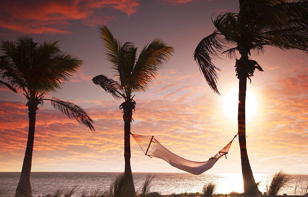 Woman in a hammock on the beach, Florida, United States of America, North America