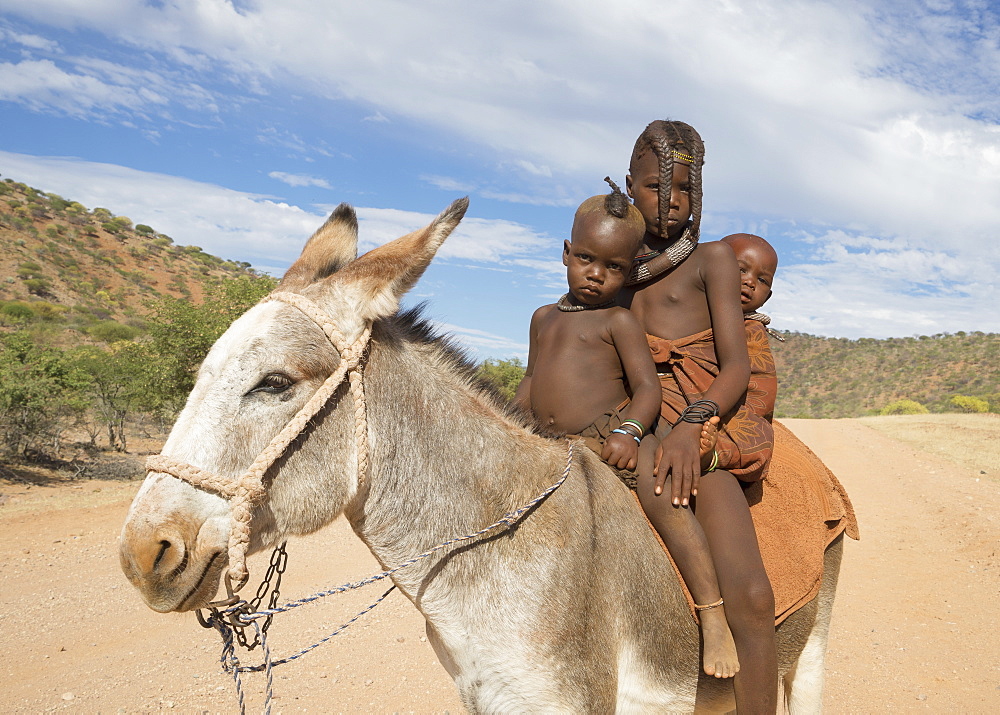 Himba children, Kaokoland, Namibia, Africa