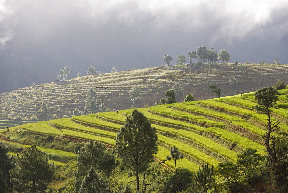 Punakha, Himalayas, Bhutan, Asia