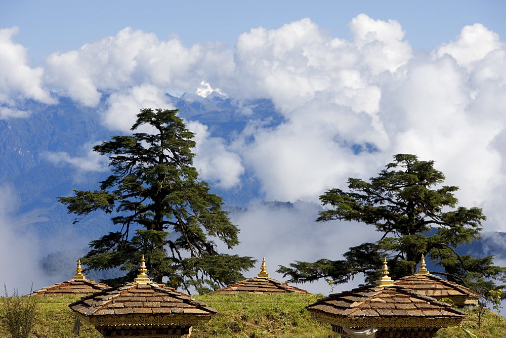 Druk Wangyal Chorten, Bhutan, Asia