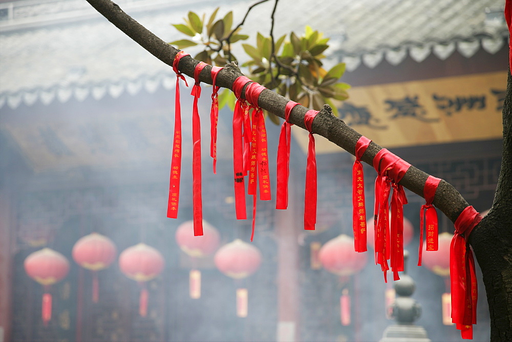 Tree with prayer ribbons, Jade Buddha Temple, Shanghai, China, Asia