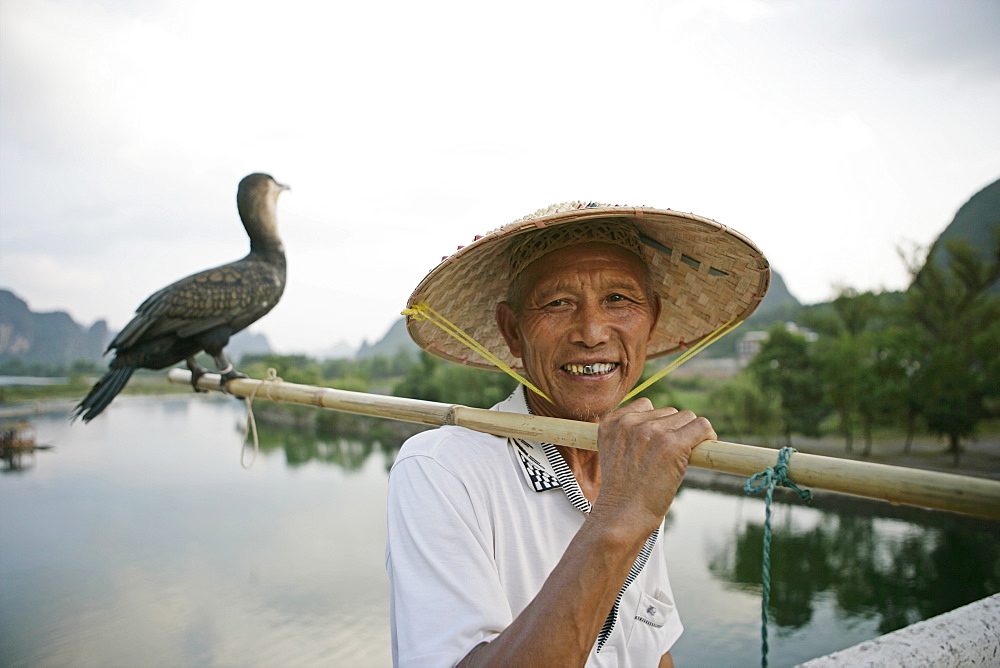 Fisherman with cormorant, Li River, Yangshuo, Guangxi Province, China, Asia