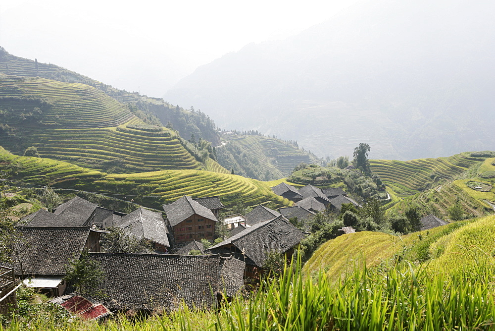 Longsheng terraced ricefields, Guilin, Guangxi Province, China, Asia