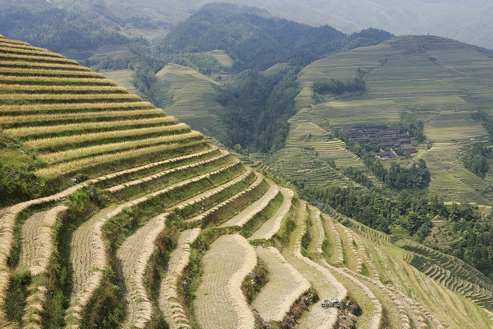 Longsheng terraced ricefields, Guilin, Guangxi Province, China, Asia