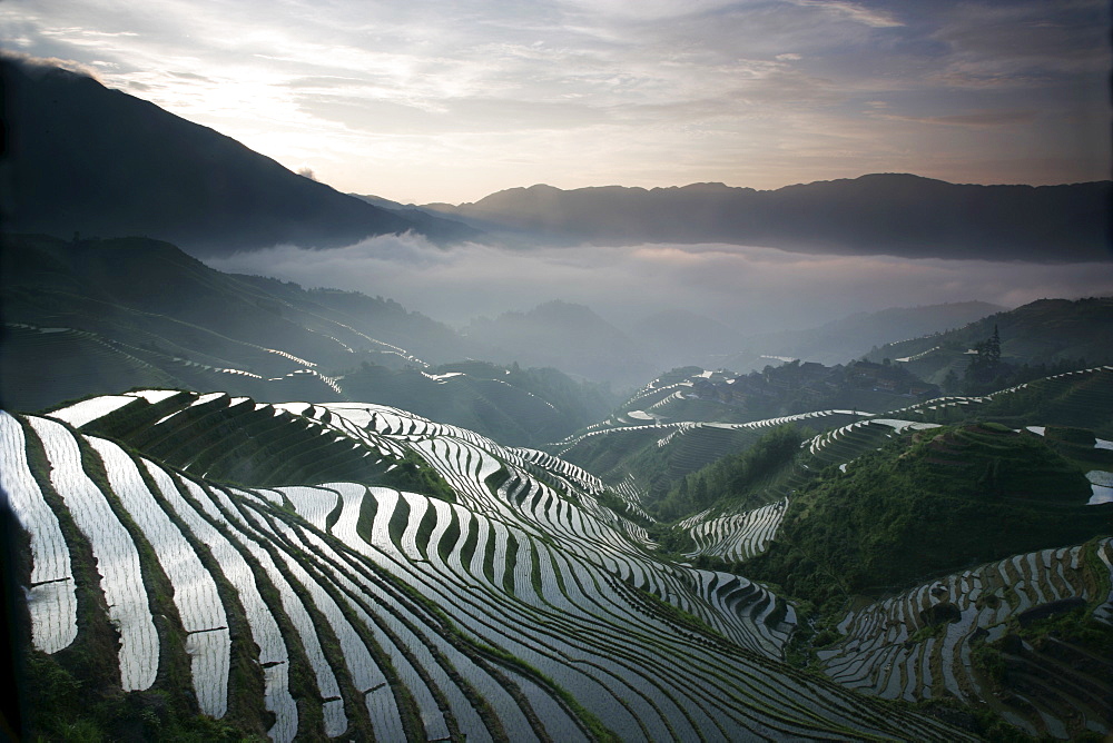 Sunrise in June, Longsheng terraced ricefields, Guangxi Province, China, Asia