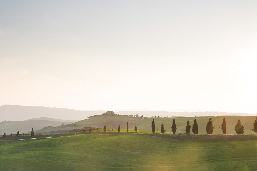 Farm, country road and cypresses near Pienza at sunset, Val D'Orcia, Tuscany, Italy, Europe