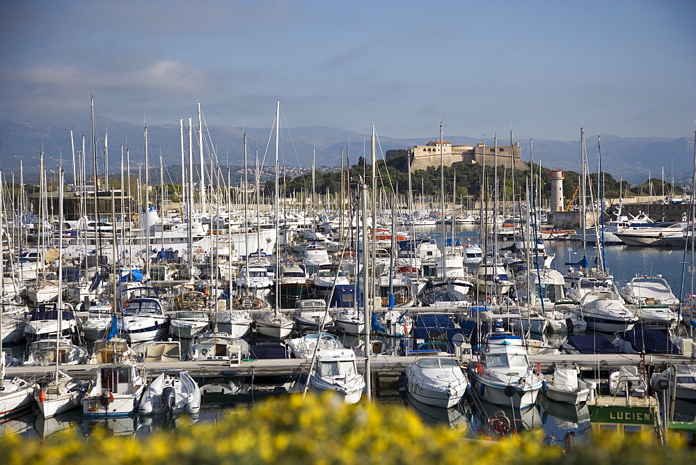 Antibes harbour and Fort Carre, Antibes, Alpes Maritimes, Provence, Cote d'Azur, French Riviera, France, Mediterranean, Europe