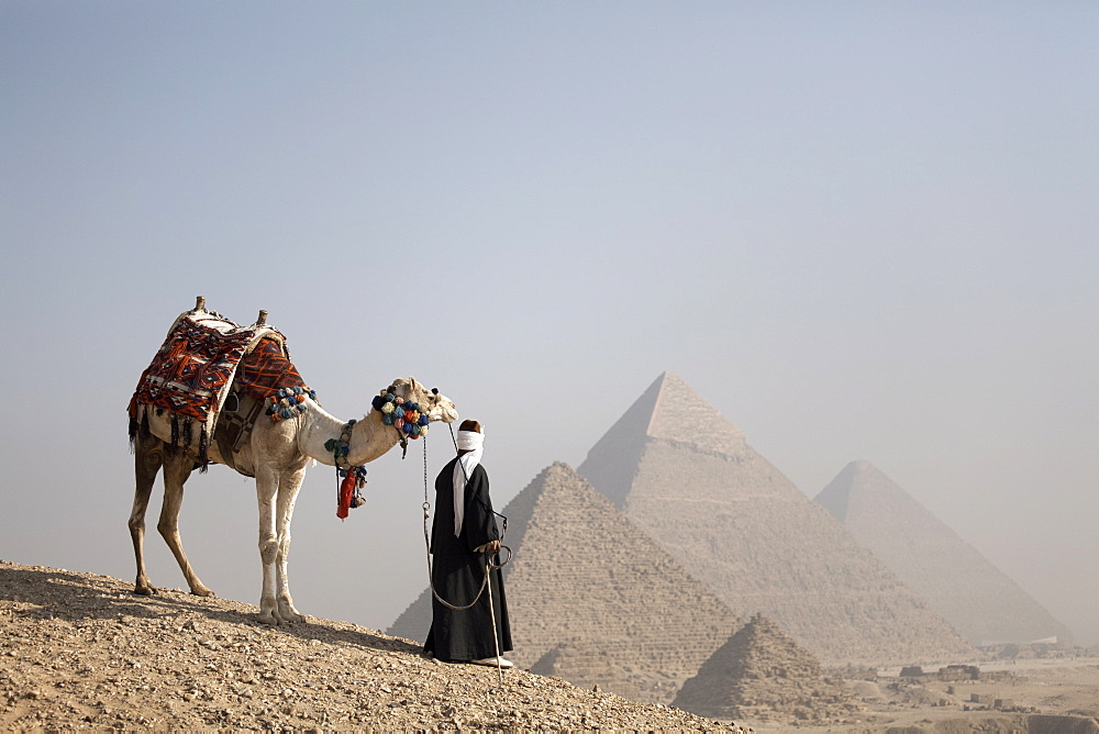 A Bedouin guide with his camel, overlooking the Pyramids of Giza, UNESCO World Heritage Site, Cairo, Egypt, North Africa, Africa