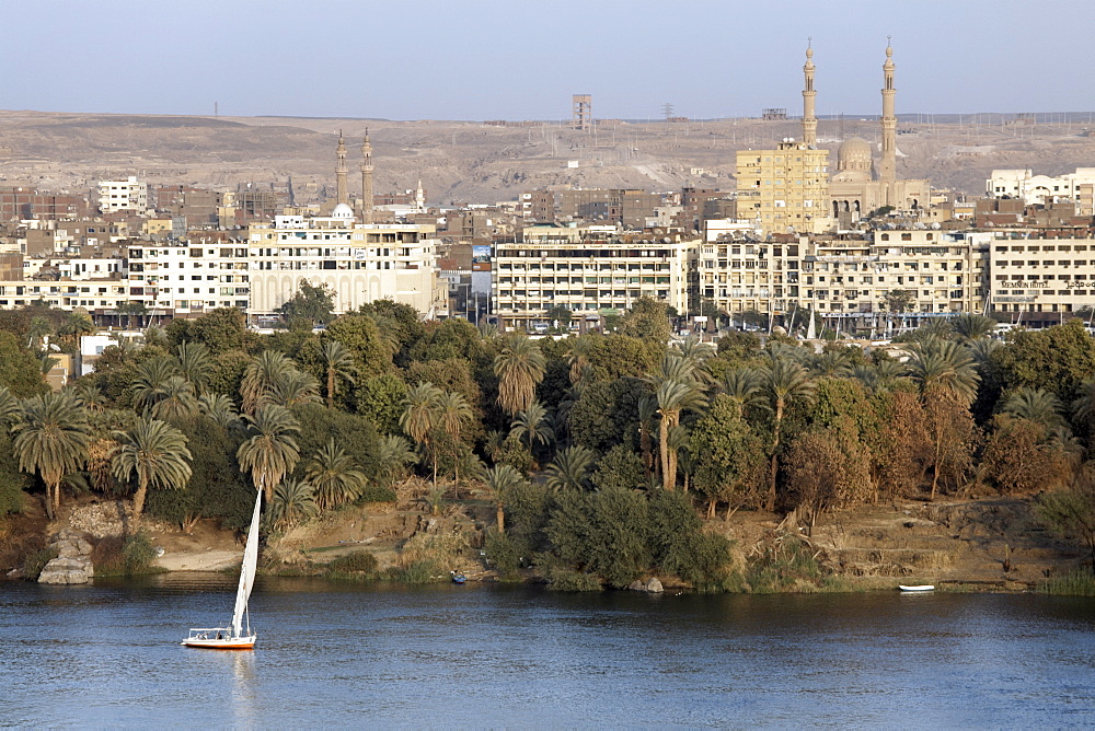 Overlooking the river Nile at the southern city of Aswan, Egypt, North Africa, Africa