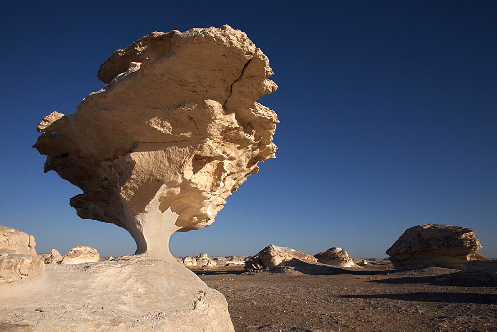 The White Desert, Farafra Oasis, Egypt, North Africa, Africa