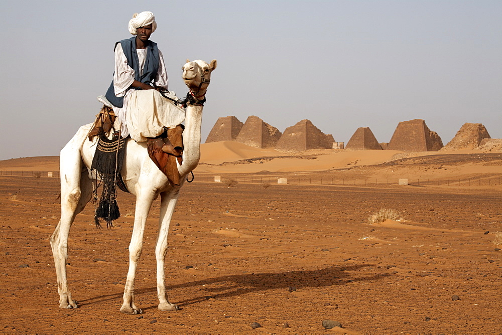 A guide and camel stand in front of the pyramids of Meroe, Sudan's most popular tourist attraction, Bagrawiyah, Sudan, Africa