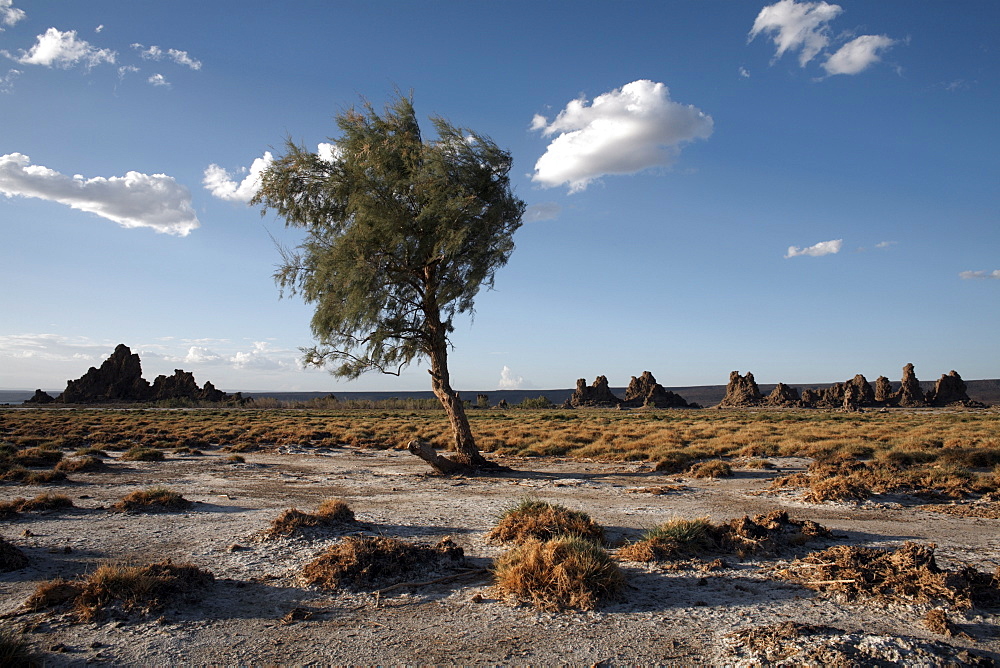 The desolate landscape of Lac Abbe, dotted with limestone chimneys, Djibouti, Africa