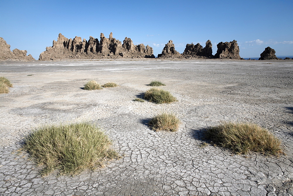 The desolate landscape of Lac Abbe, dotted with limestone chimneys, Djibouti, Africa