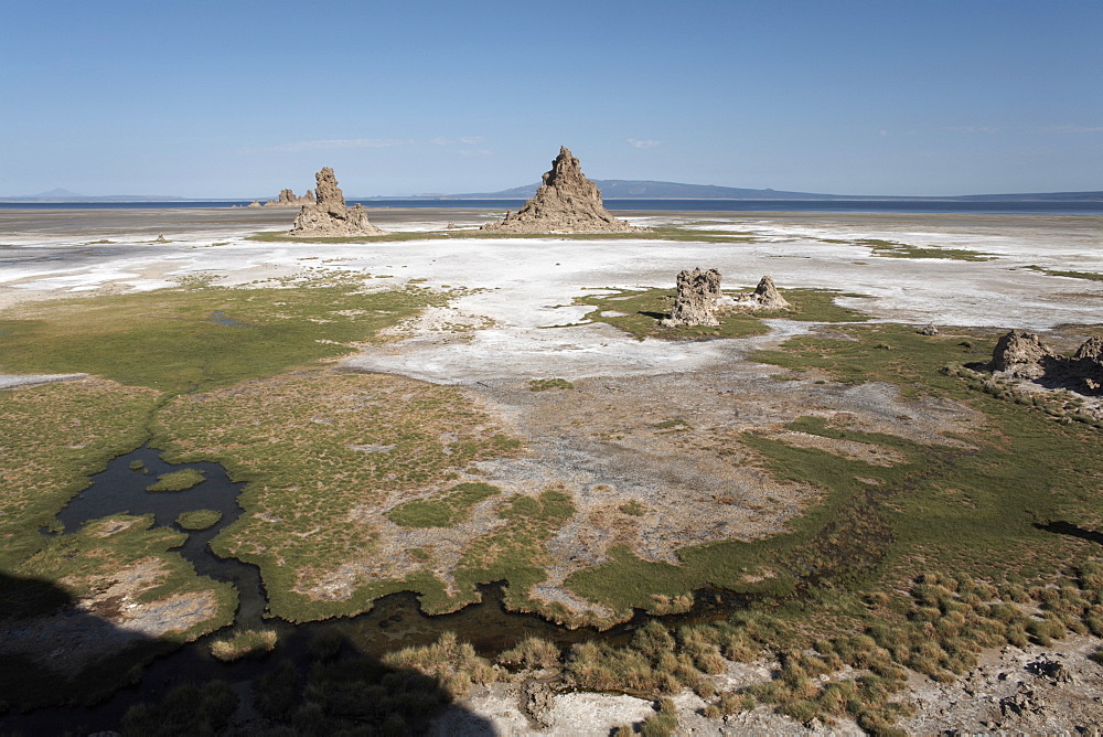 The desolate landscape of Lac Abbe, dotted with limestone chimneys, Djibouti, Africa