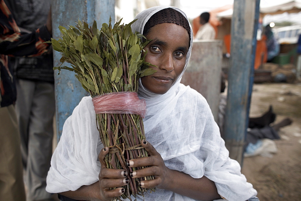 A woman selling khat (qat) (chat) in the city of Hargeisa, capital of Somaliland, Somalia, Africa