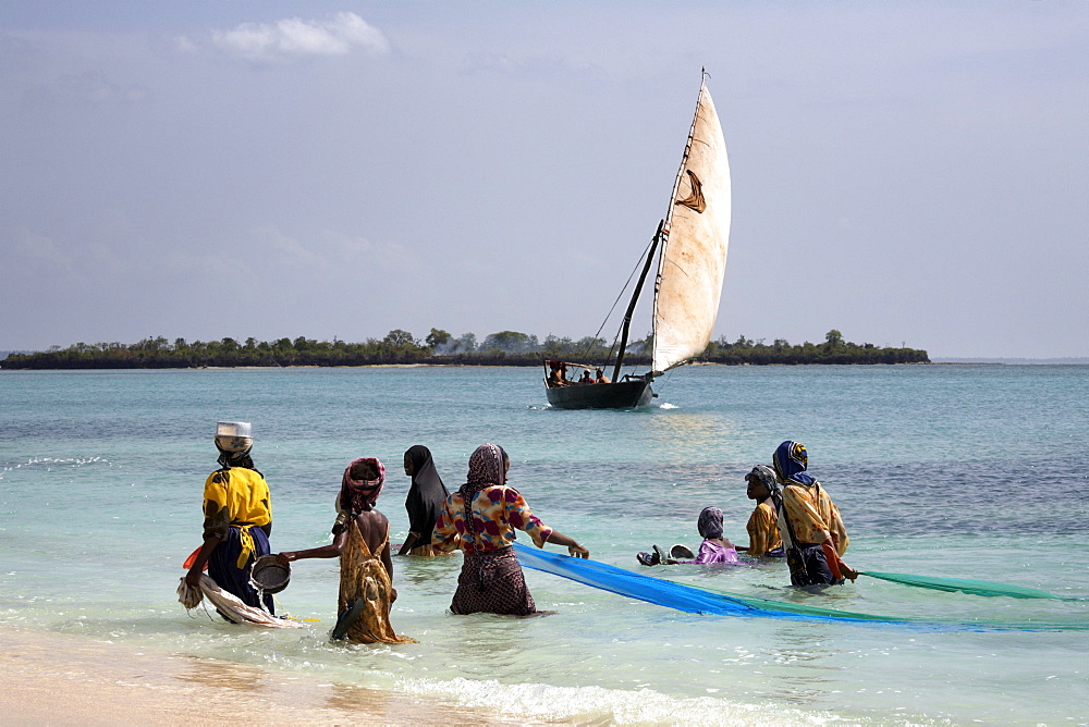 Women fishing on Kendwa Beach, Zanzibar, Tanzania, East Africa, Africa