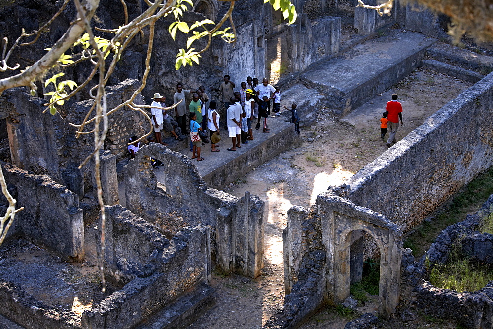 Gedi ruins, Malindi, Kenya, East Africa, Africa