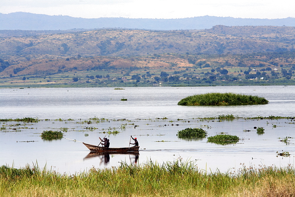 The Victoria Nile in Murchison National Park, Uganda, East Africa, Africa