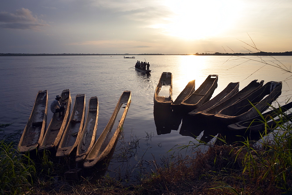 Dugout canoes (pirogues) on the Congo River, Yangambi, Democratic Republic of Congo, Africa