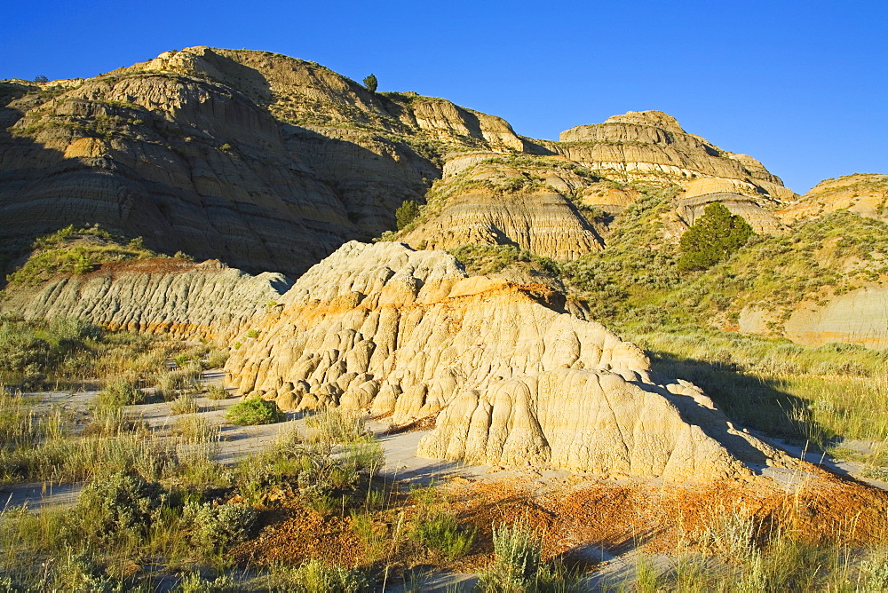 Theodore Roosevelt National Park North Unit, Watford, North Dakota, United States of America, North America