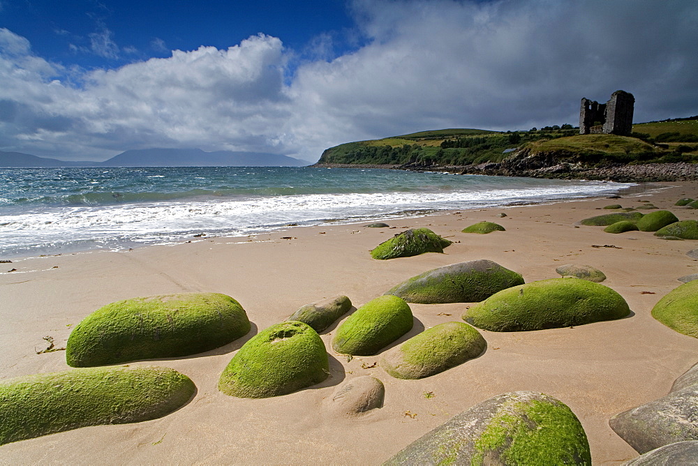 Minnard Beach, Dingle, County Kerry, Munster, Republic of Ireland, Europe