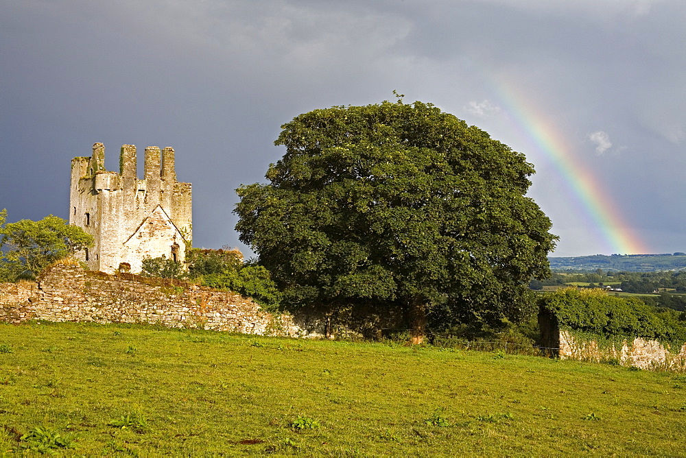 Rainbow near Kilcash Castle, County Tipperary, Munster, Republic of Ireland, Europe