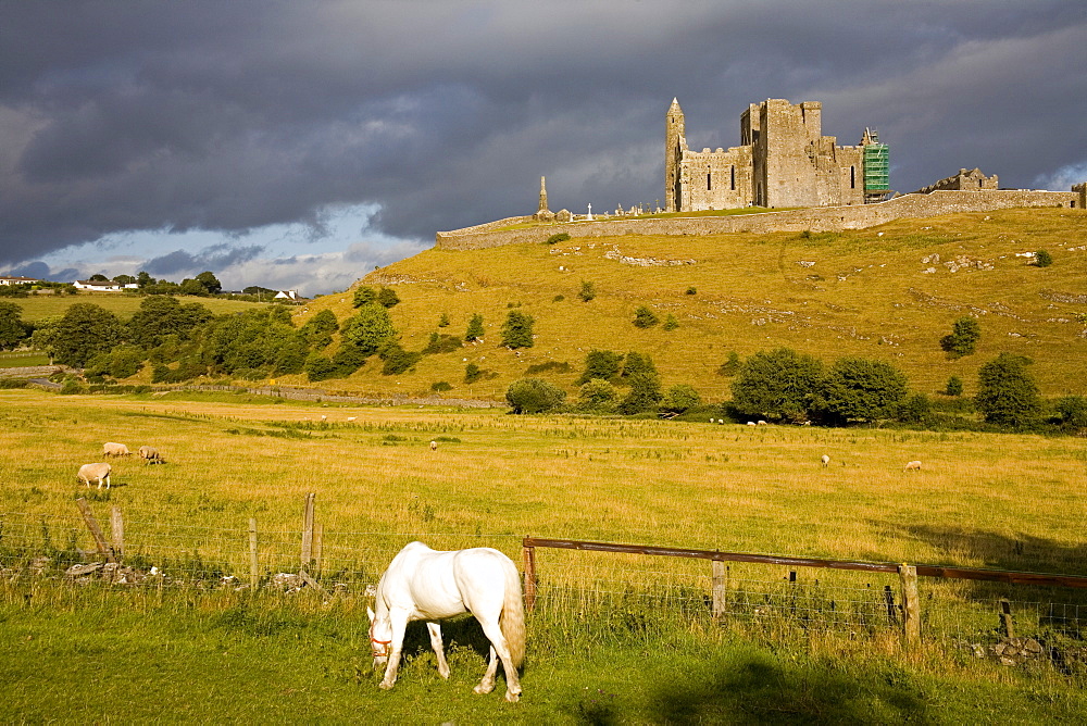 Rock of Cashel, Cashel Town, County Tipperary, Munster, Republic of Ireland, Europe