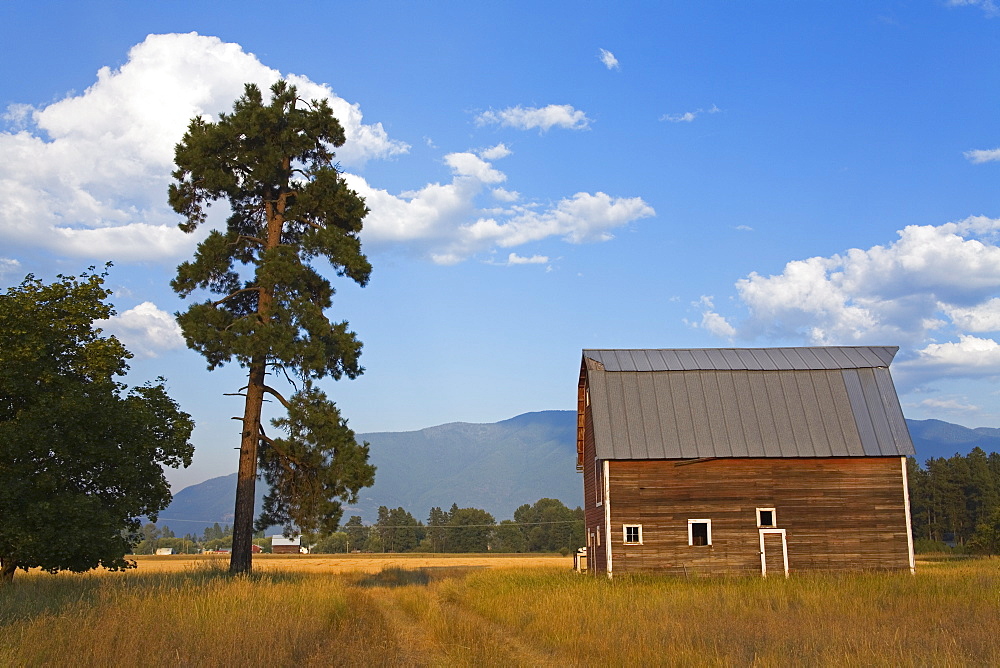 Barn near Kalispell, Montana, United States of America, North America