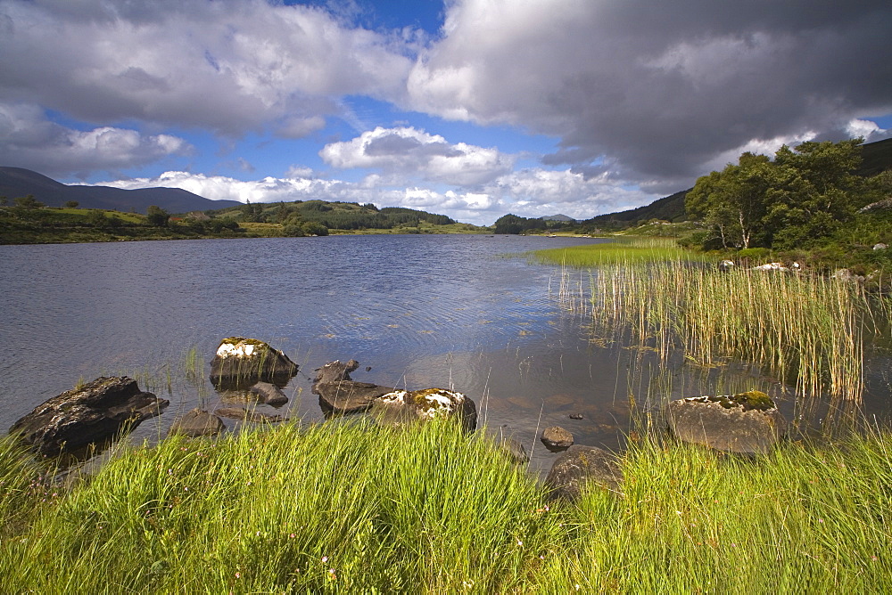 Looscaunagh Lake, Killarney National Park, County Kerry, Munster, Republic of Ireland, Europe